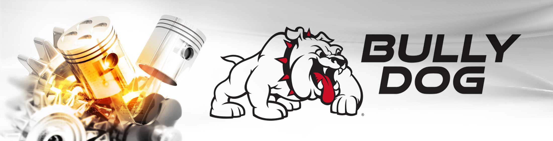 Bully Dog Diesel Performance Tuning