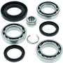 QuadBoss 14-21 Honda TRX420FA1 FourTrax Rancher 4×4 AT DCT Rear Differential Bearing & Seal Kit